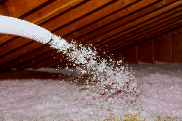 Types of Insulation We Offer in Hitchcock, TX