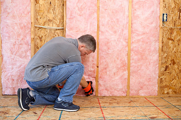 Best Eco-Friendly Insulation in Hitchcock, TX