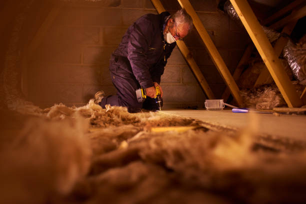 Best Fiberglass Insulation in Hitchcock, TX