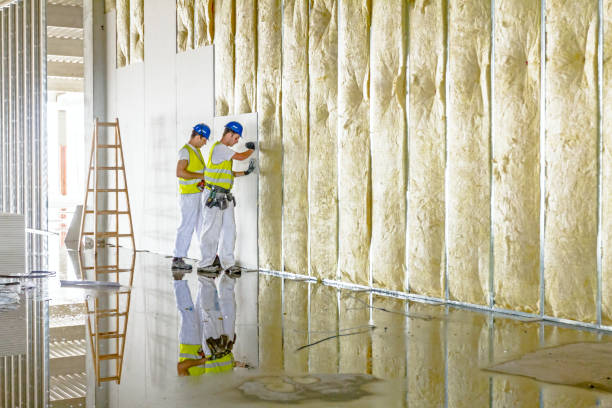 Best Spray Foam Insulation in Hitchcock, TX